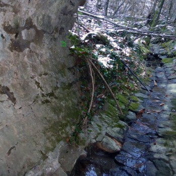 Ruisseau couvert de Bessèges - La Fonte, tronçon 4