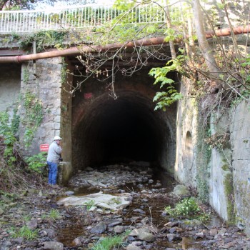 Ruisseau couvert de Rochessadoule amont à Robiac-Rochessadoule